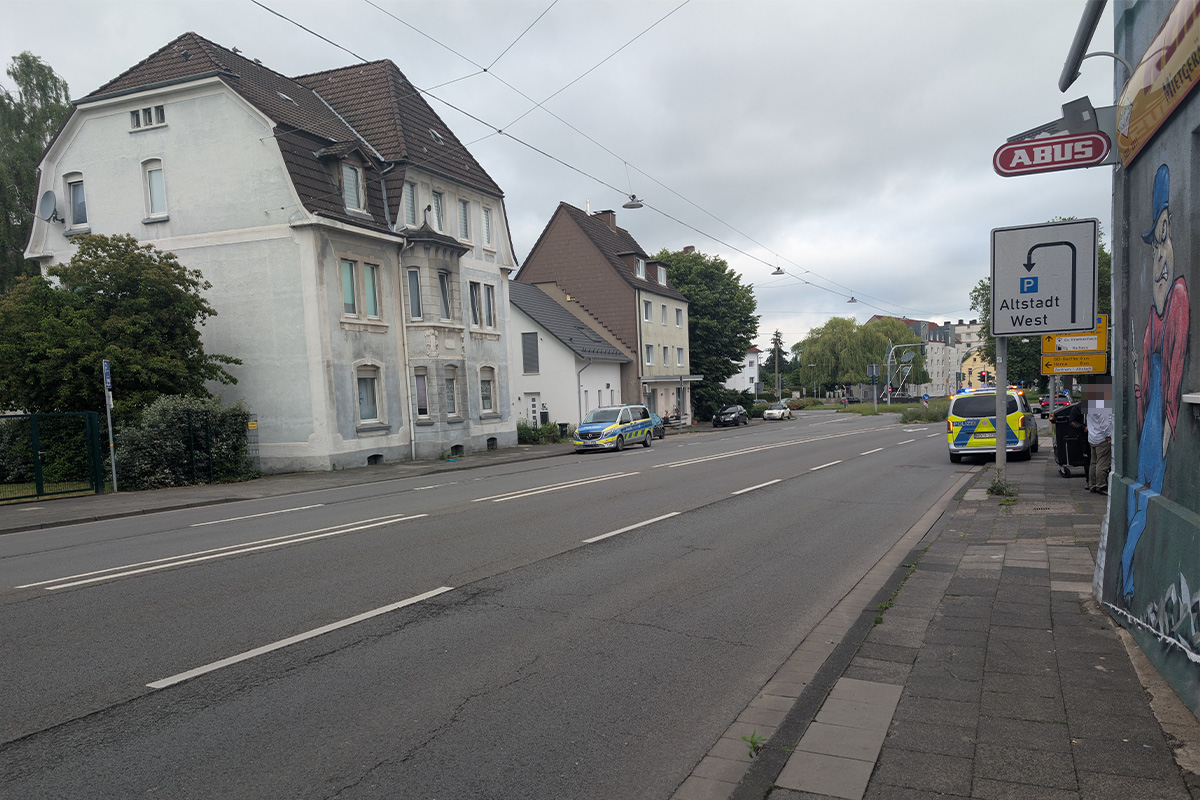 Galerie-Bild 1