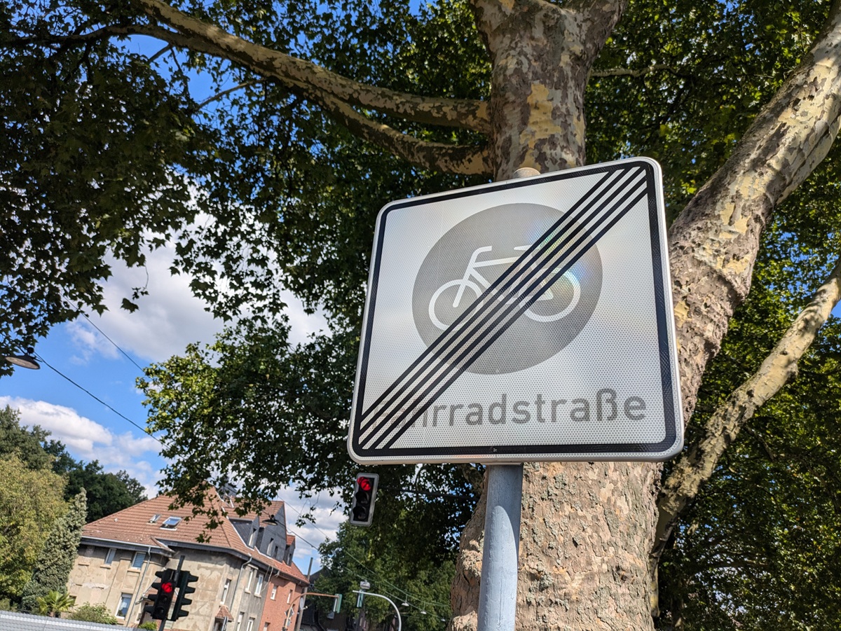 Galerie-Bild 5