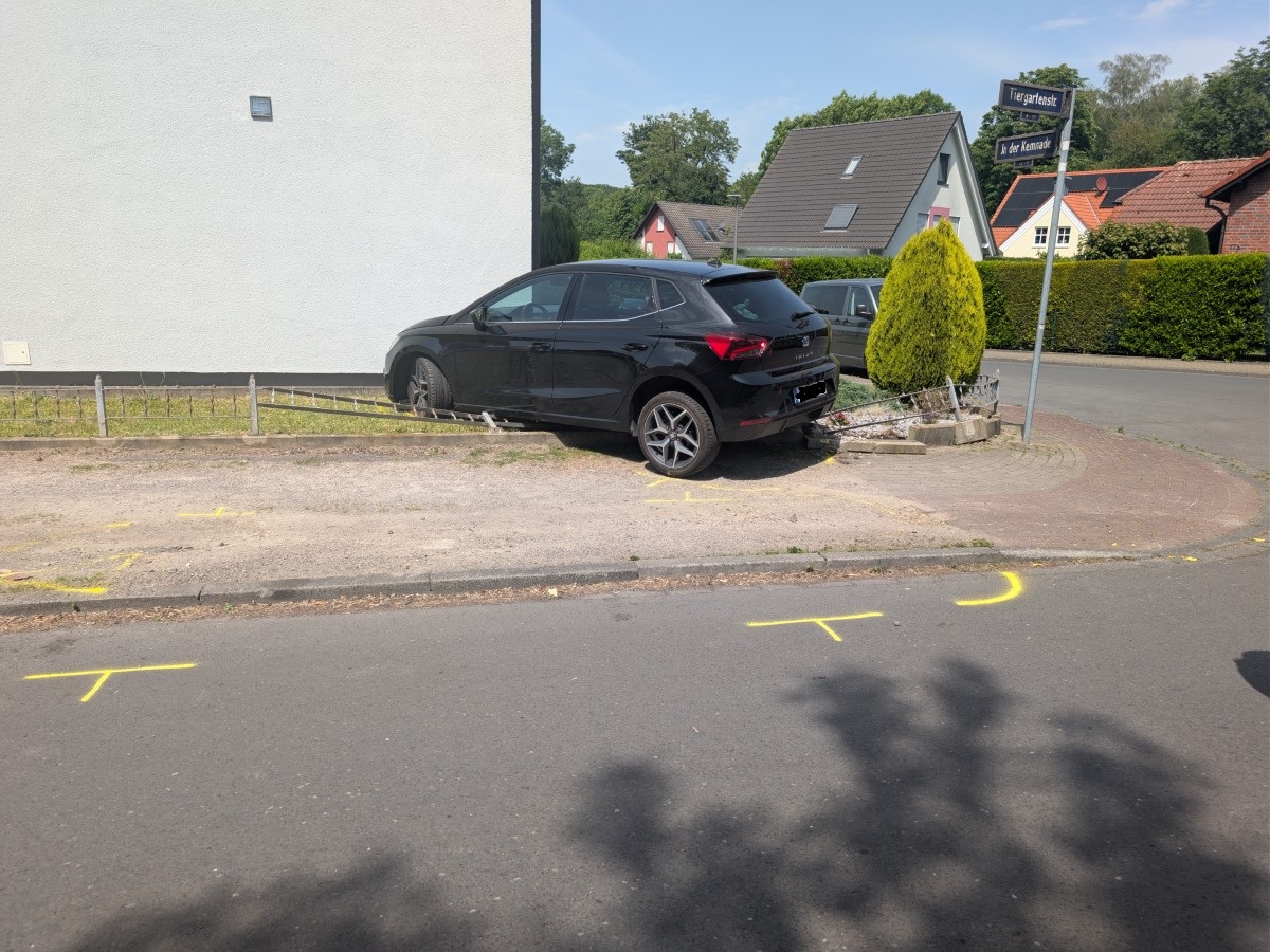 Galerie-Bild 1