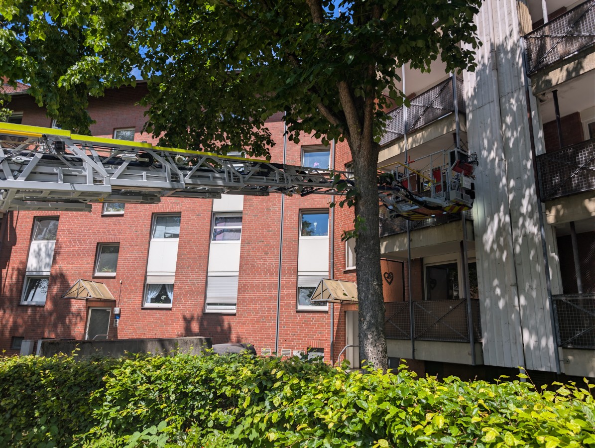 Galerie-Bild 3