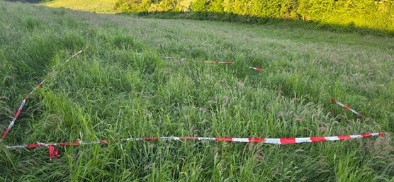 Galerie-Bild 3