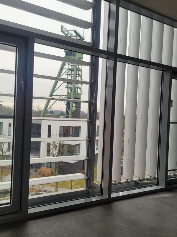 Galerie-Bild 2