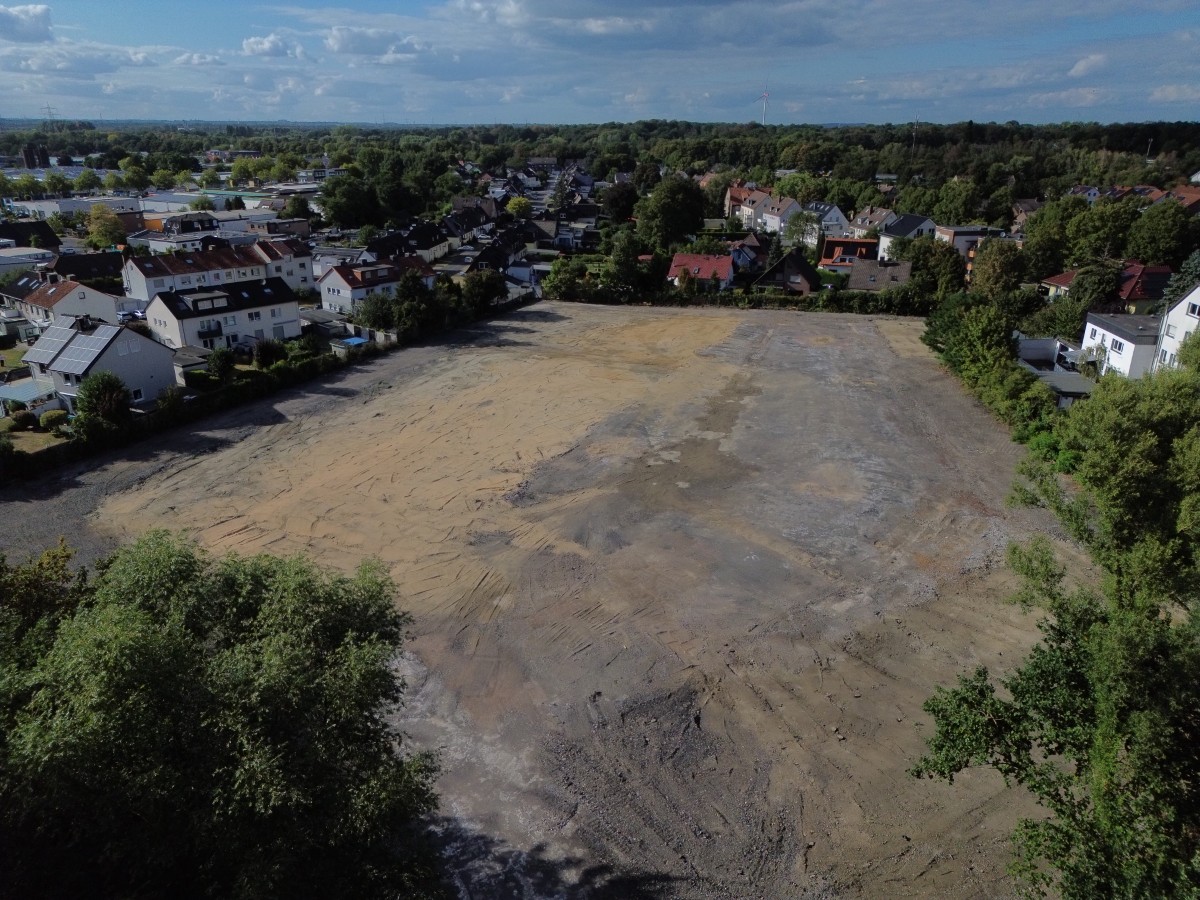 Baumfällungen auf ehemaligem Fuhrparkgelände abgeschlossen