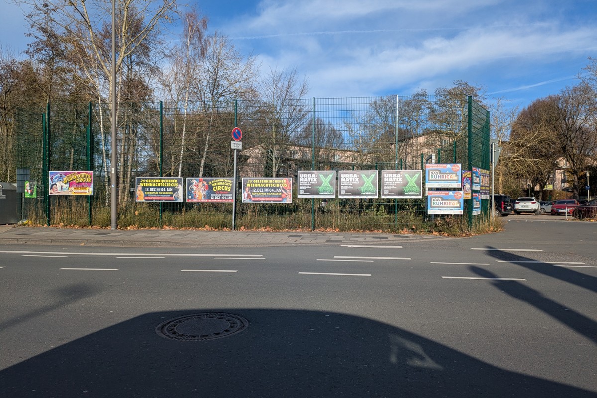 Galerie-Bild 5