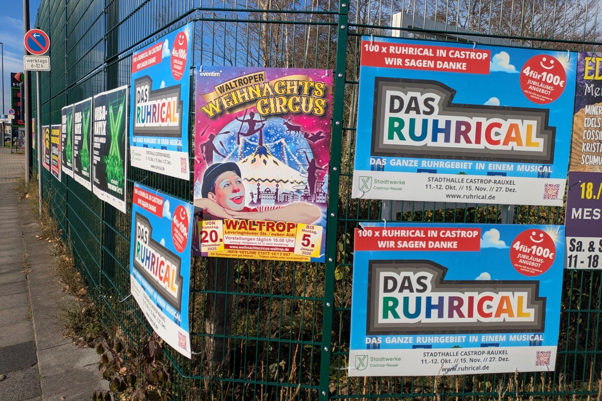 Galerie-Bild 4