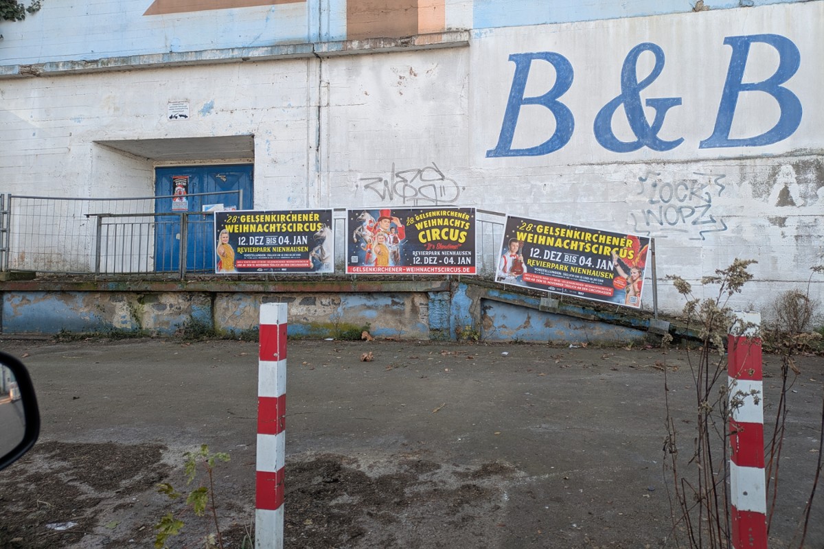 Galerie-Bild 3