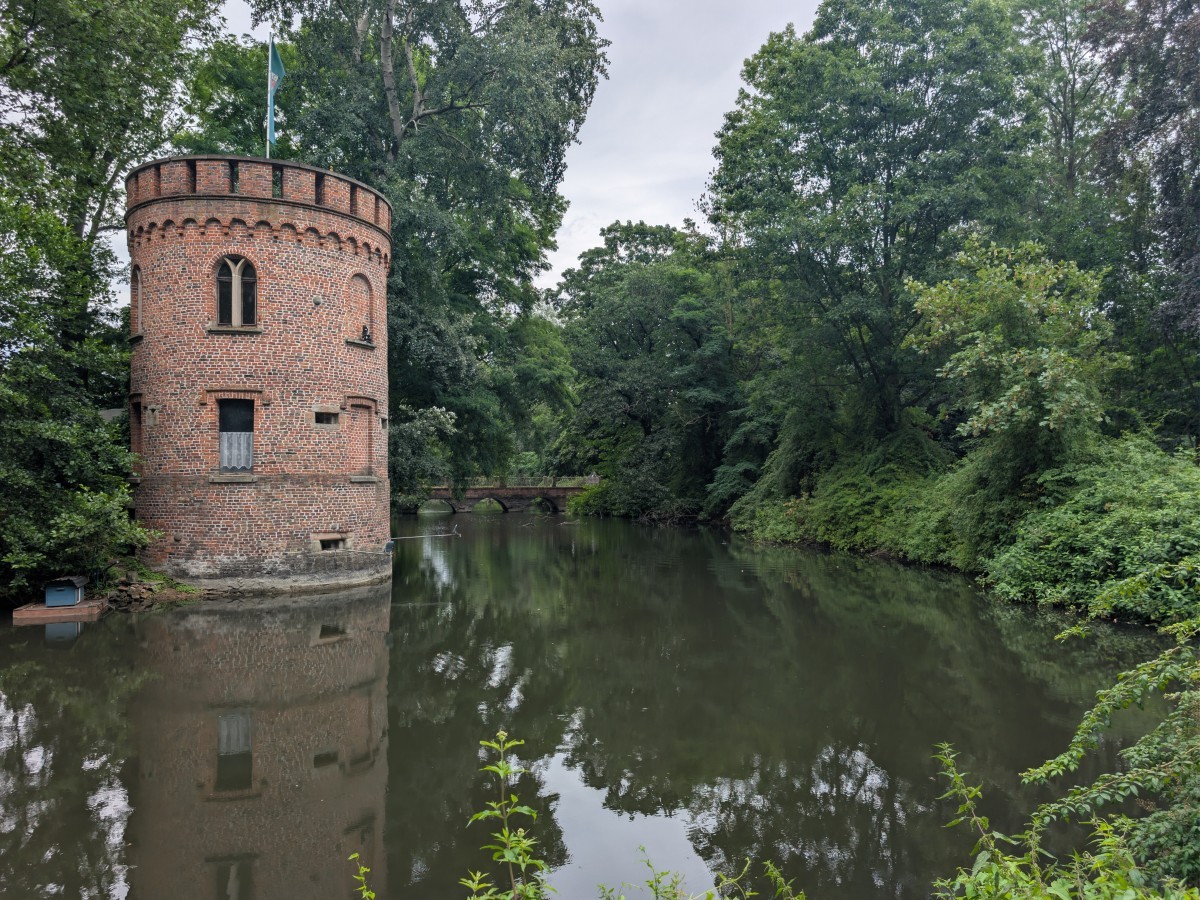Galerie-Bild 2