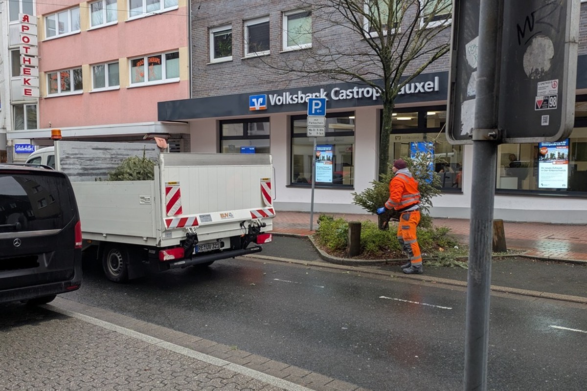 Weihnachtsbaumsammlung 2026: Über 21.000 Euro für den guten Zweck gesammelt